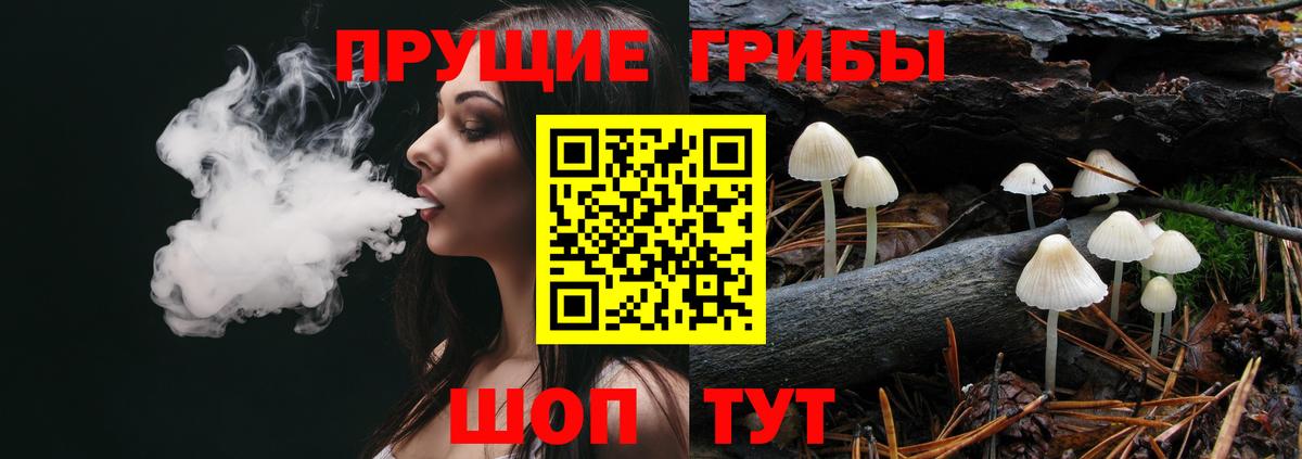 Галлюциногенные грибы Psilocybine cubensis Подольск
